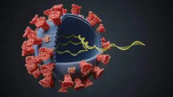 COVID-variant-cell-image-aspect-ratio-16-9jpg