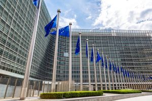 Picture of a series of EU flags outside a building