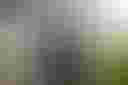 Loading Lydiah Malova's clearing experience...