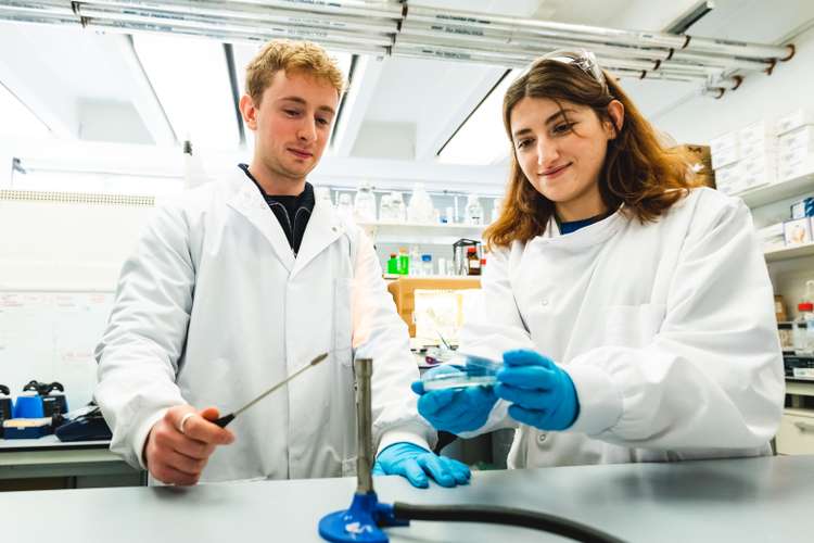 Biological science students working in a laboratory