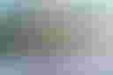 Loading image...