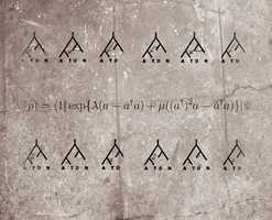 Population genetics and models