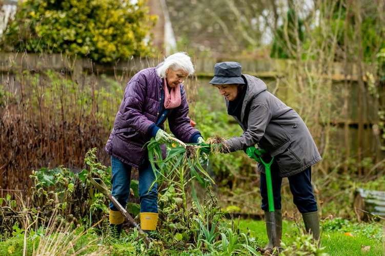 Older women gardening.jpg