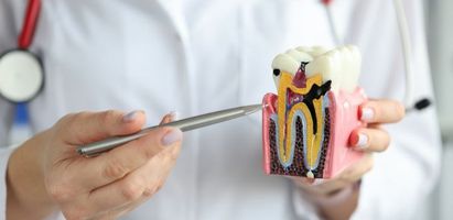 Health professional using a model in a demonstration