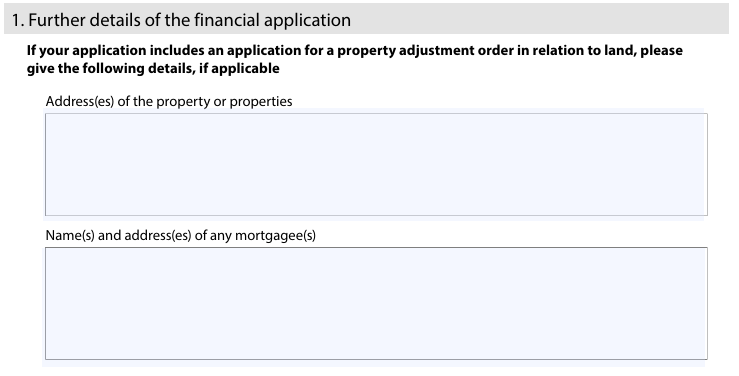 form a - further detail on financial application