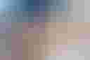 Loading image...