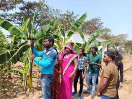 GRTA-impact-story-sustainable-food-systems-india