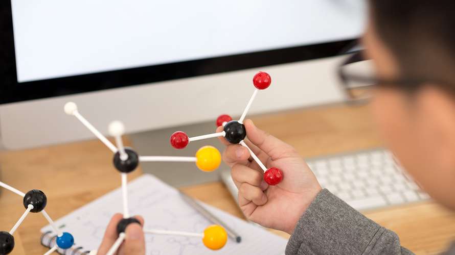 Student holding model