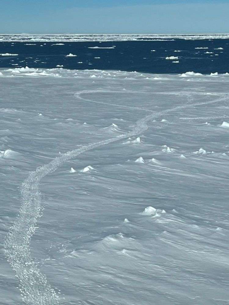 Footprints over a snowy expanse of ground. The sea can be seen in the distance.