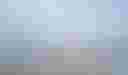 Loading image...