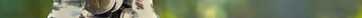 donate jar of pennies with green shoots.jpg