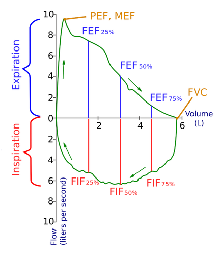 Spirometry in text