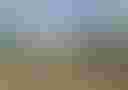 Loading image...