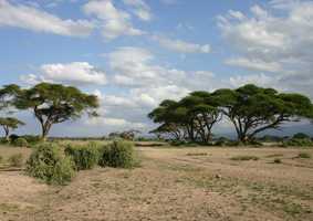 Centre for Ecology, Evolution and Conservation