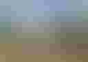 Loading image...
