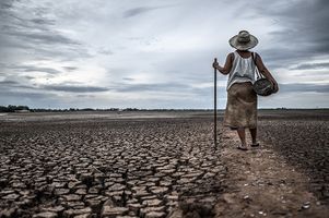 A woman stares across dry, arid land. She is holder a basket and cane, and is wearing a hat.
