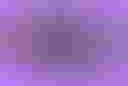 Loading An illustration of a phone connected to lots of electrical wires on a purple background....