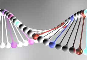 compbiol-rna