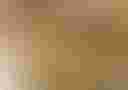 Loading image...