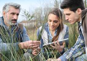Teacher and students looking at vegetation