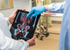 medical staff pointing at anatomy diagram