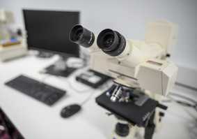 Microscope