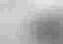 Loading image...
