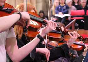 Buy Tickets - Violins