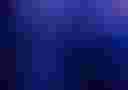 Loading image...