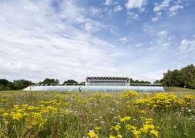 Sainsbury Centre