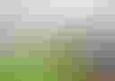 Loading image...
