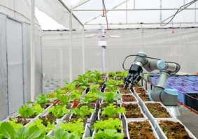 Agri-FoRwArdS - Robotics