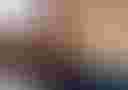 Loading image...