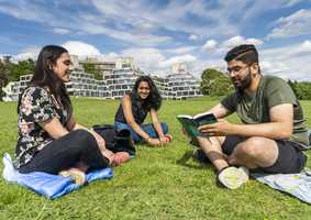 Students sitting on grass reading and chatting