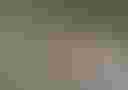 Loading image...