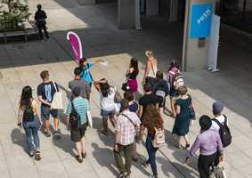 Group of people on UEA campus tour