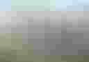 Loading image...