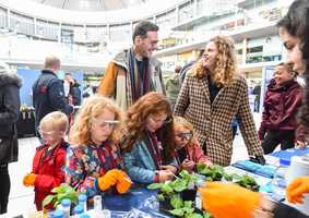 Family exploring plants at Norwich Science Festival