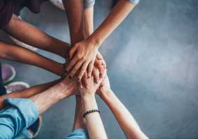 Science Fellowships