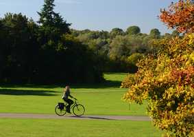 Student cycling on bike path on campus