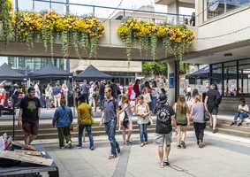 Open day on campus