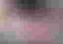 Loading image...