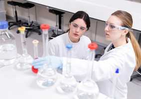 medicine phd students