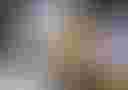 Loading image...