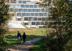 People walking on UEA campus