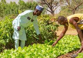 Men working in field