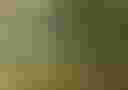 Loading image...