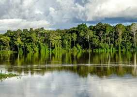 Environmental Sciences Rainforest