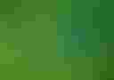 Loading image...