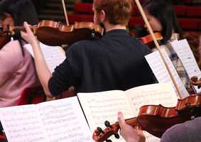 Musicians